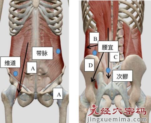 医案分享：中医针灸治疗腰痛症