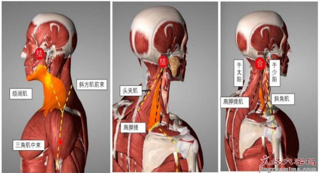 医案分析：中医针灸治疗右侧头部晕胀，颈肩背部僵硬