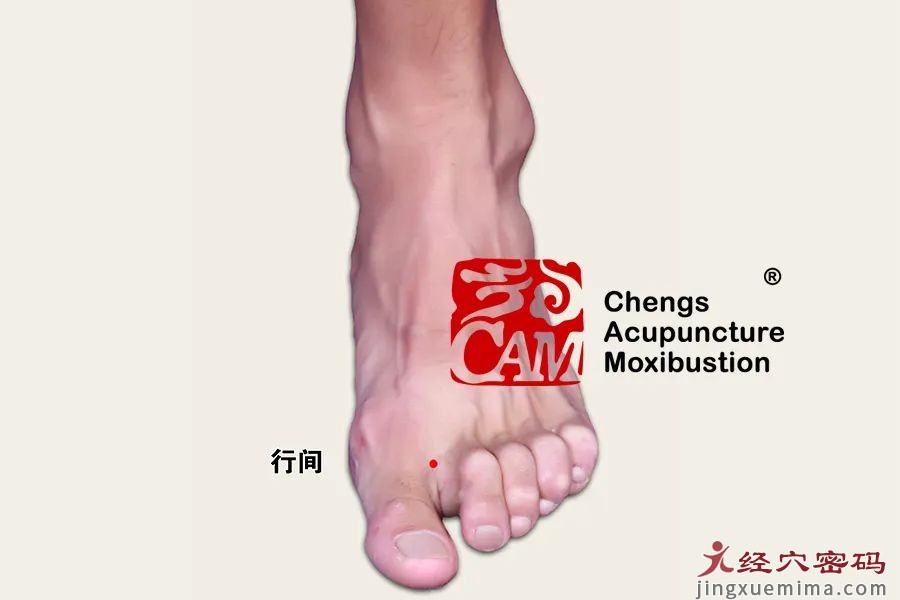 眩晕发作，如何缓解