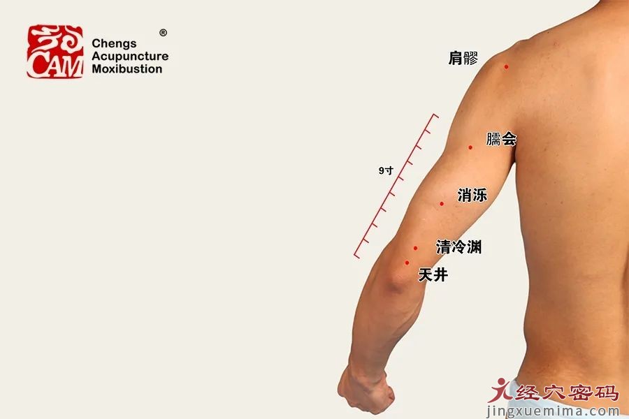 三焦手少阳之脉之手少阳经腧穴主治心法