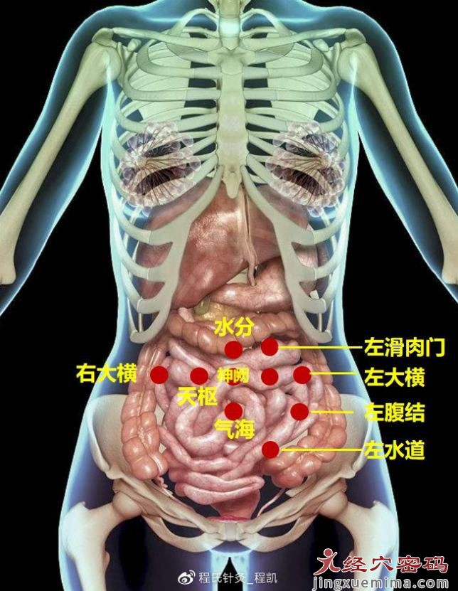 促进肠蠕动的穴位有哪些？