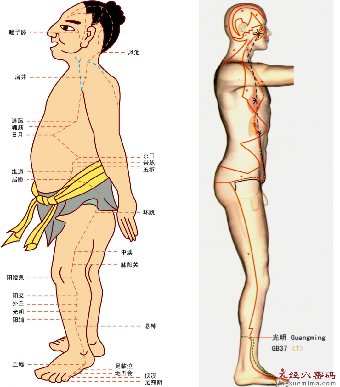 程凯养生说：甲状腺结节、子宫肌瘤，卵巢囊肿，都和这条经脉有关