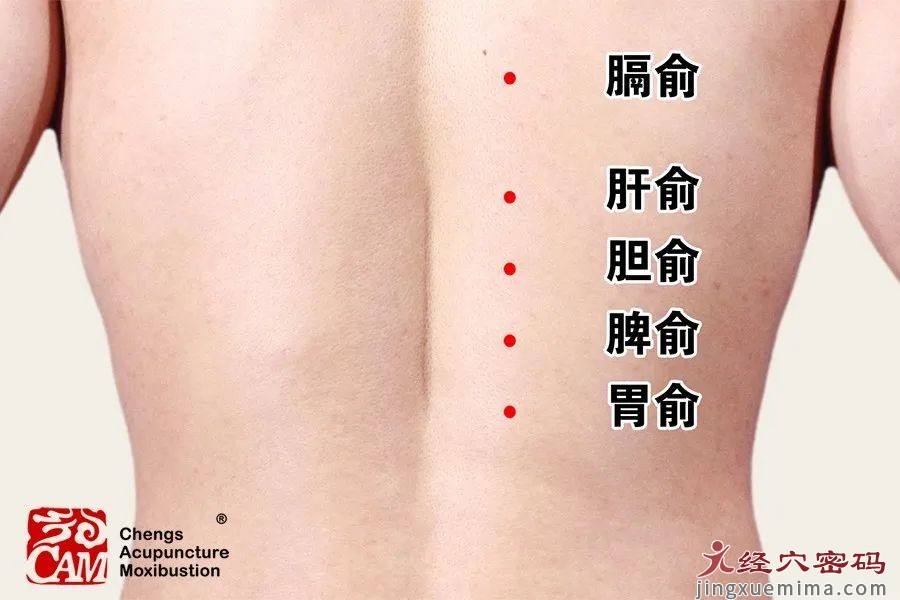 【药穴同源】胆胃不和引起的失眠、惊悸，就用温胆汤