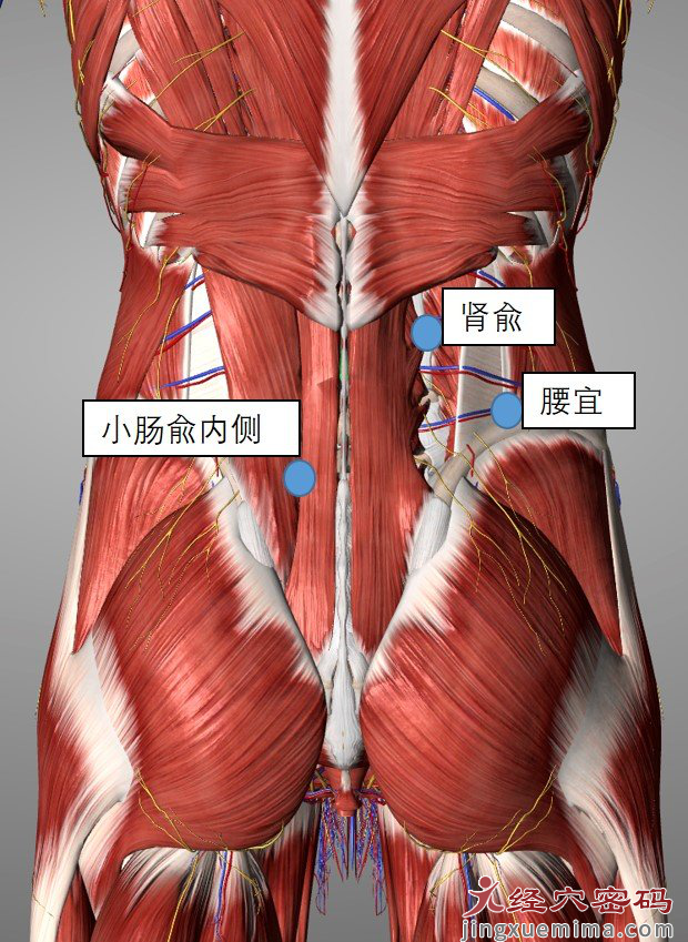 人人都知道的“妇科三阴交”，按揉时肿胀疼痛是怎么回事？