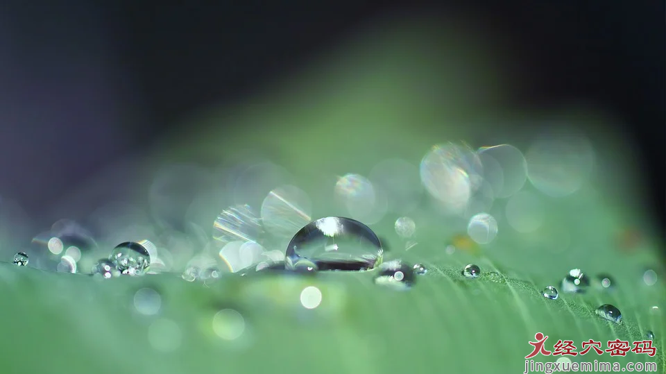 今日雨水|节气养生妙法，身体自备的木香顺气汤