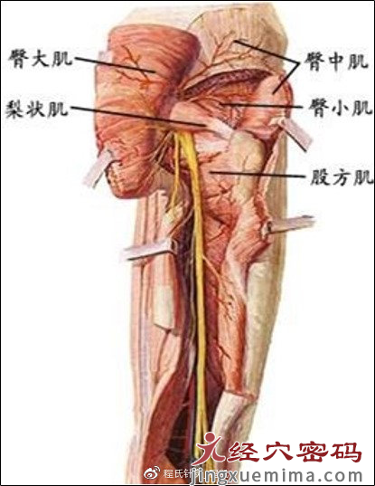 #马化腾因身体原因缺席两会# 腰椎间盘突出该如何防治？