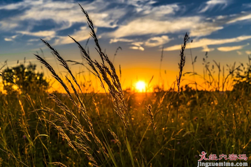 秋分节气，固藏阳气，艾灸黄金“倒三角”