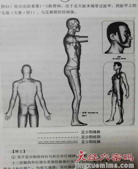 医案分析：中医针灸治疗右侧头部晕胀，颈肩背部僵硬