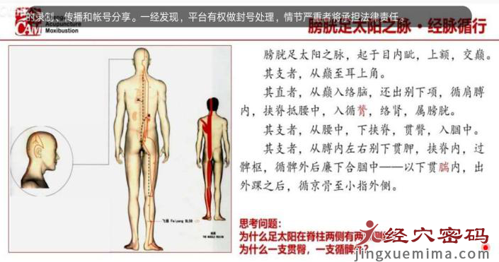 医案分析：中医针灸治疗右侧头部晕胀，颈肩背部僵硬