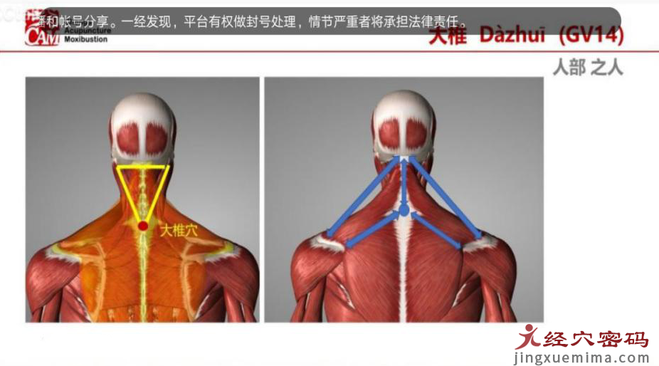 医案分析：中医针灸治疗右侧头部晕胀，颈肩背部僵硬