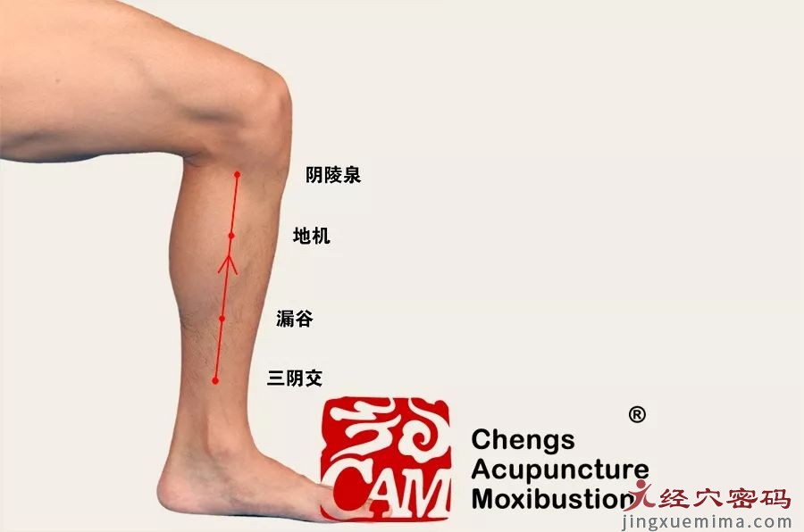 如何利用针灸治疗腿寒脚痛？