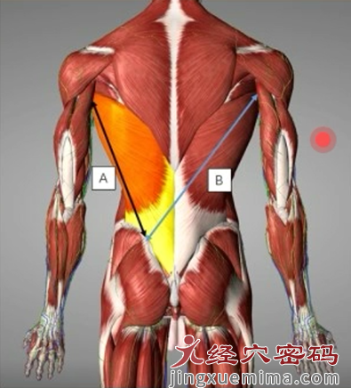 腰宜穴的三才刺法