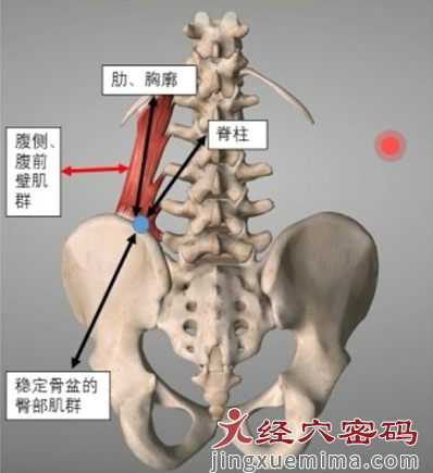 腰宜穴的三才刺法