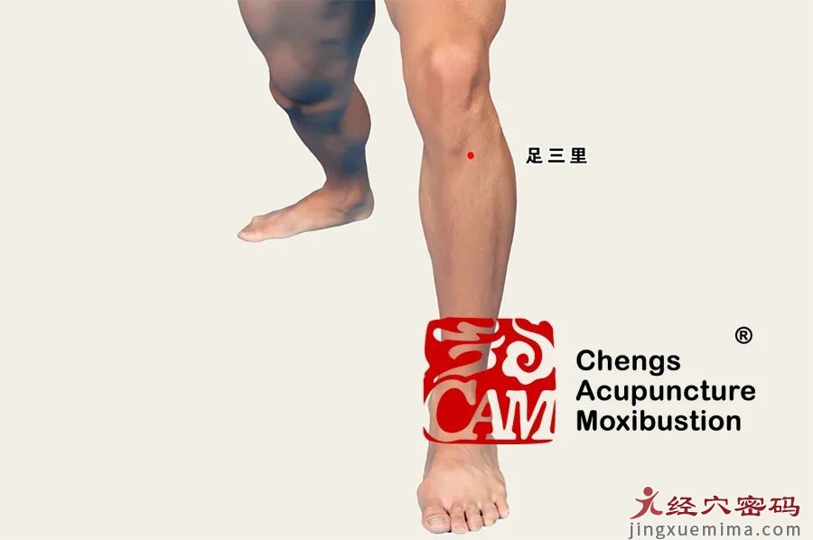 眩晕发作，如何缓解