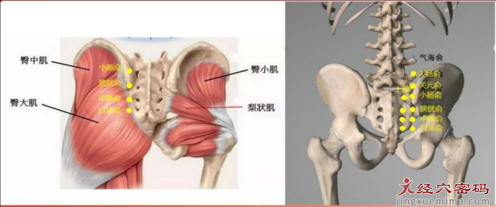 医案分析：中医针灸治疗右侧头部晕胀，颈肩背部僵硬