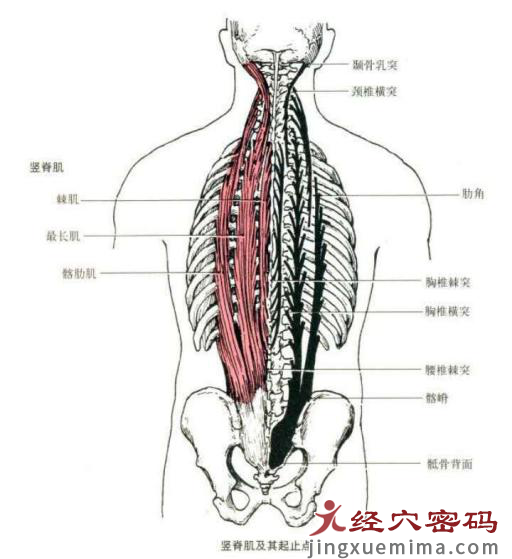 医案分析：中医针灸治疗右侧头部晕胀，颈肩背部僵硬