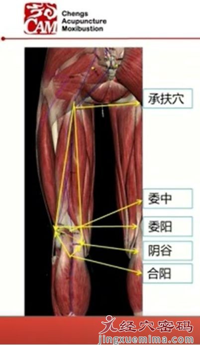 合阳穴的三才刺法