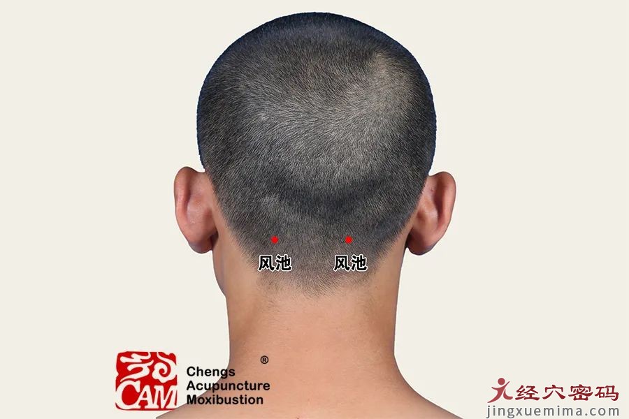 眩晕发作，如何缓解