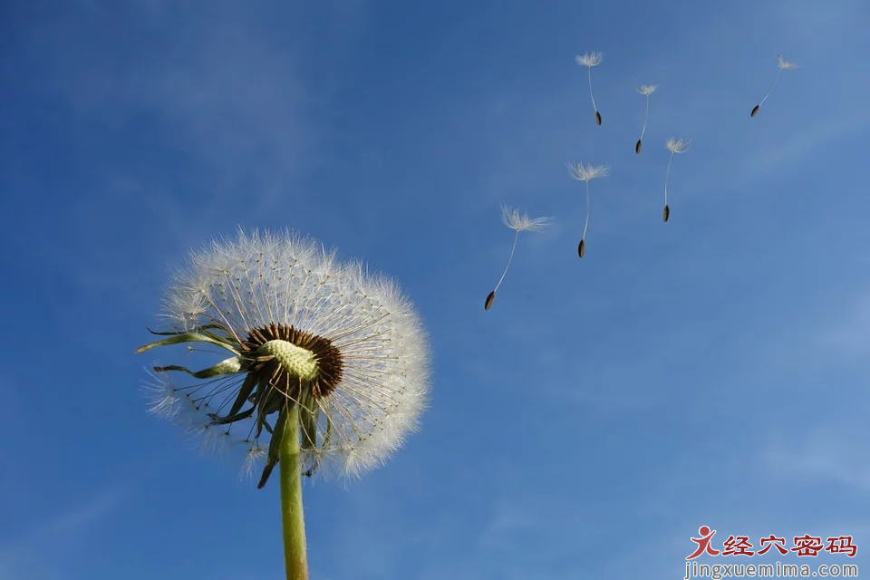 擦风穴、防风邪  找找身体自备的三道“防风墙”