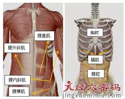 医案分享：老年人胃胀嗳气，针灸治疗一次显效