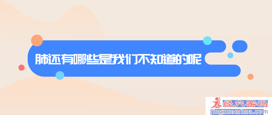 你不知道的“肺”