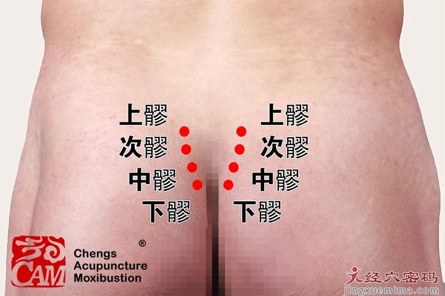 经络养生|人老腿先老，护腿先护腰