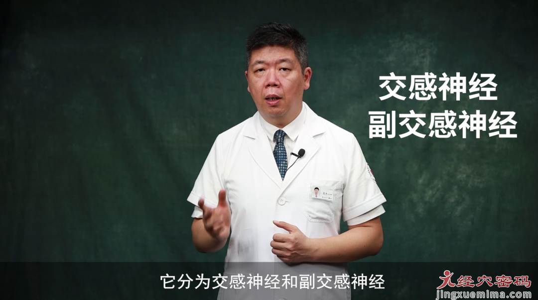 程凯养生说：植物神经功能紊乱，你中招了吗？