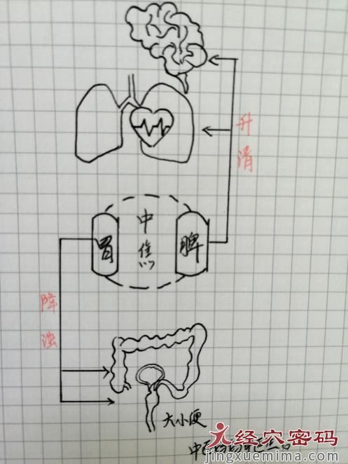 13岁孩子上课睡觉，爸爸认为学习态度不认真，明智的妈妈认为孩子生病了