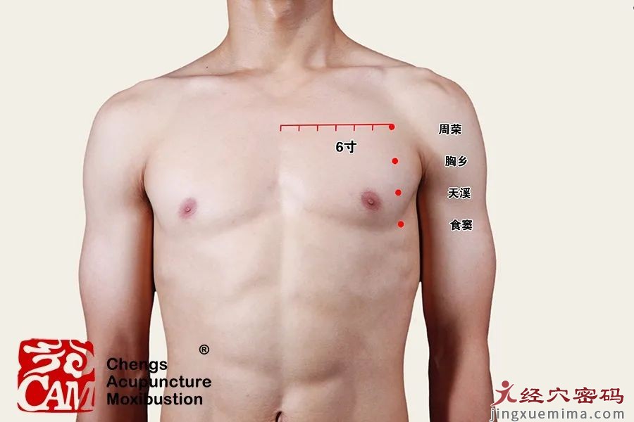 脾足太阴之脉腧穴主治心法