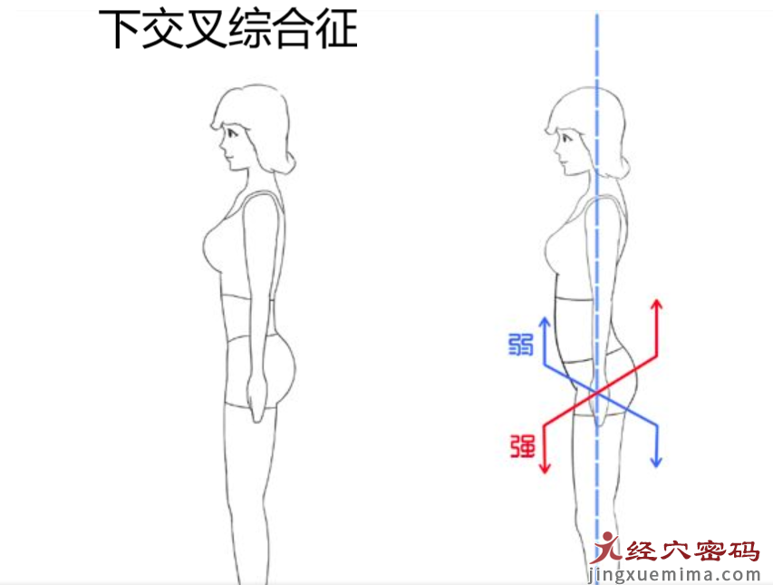 医案分析：浮络，身体求救信号的定位体征