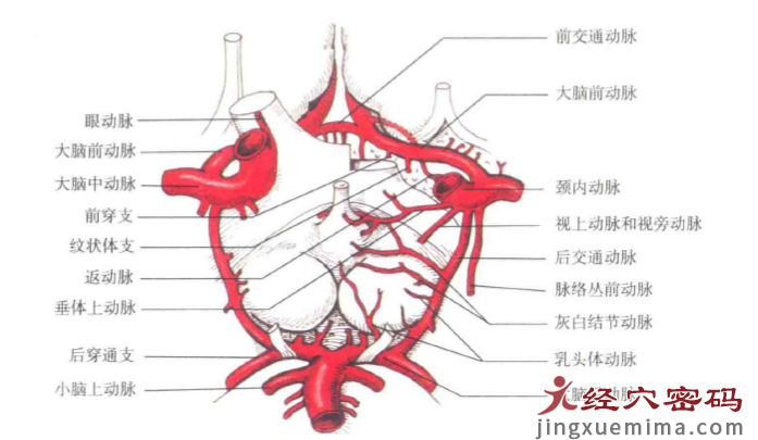 关于中风后遗症，你得先知道这些事情