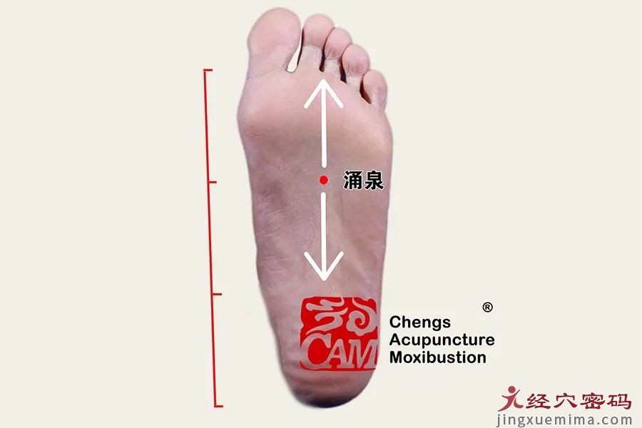 失眠、多梦、早醒如何防治？中医辨证分虚实