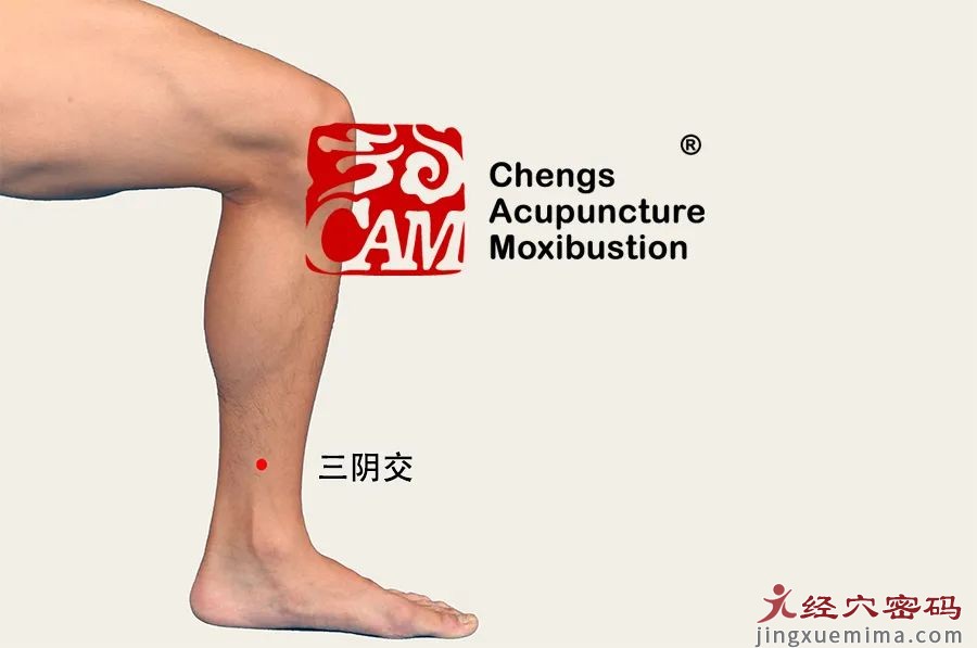 眩晕发作，如何缓解