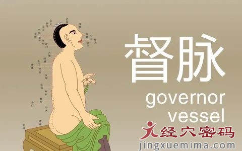 中医经络|奇经八脉之督脉