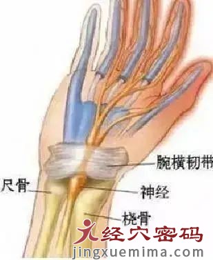 口臭、失眠很上火？每天按揉手腕1个穴位，泻火祛湿，改善睡眠