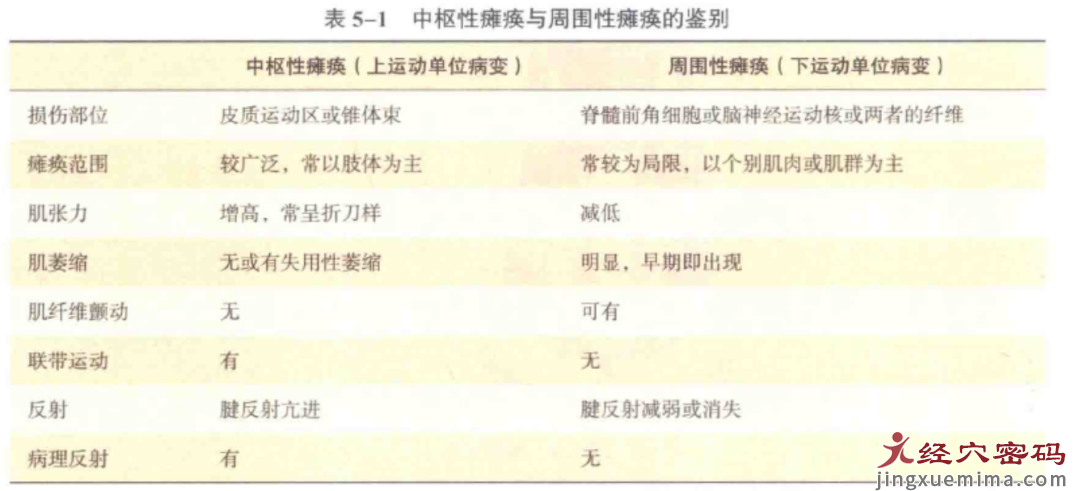 这些VS你真的懂吗？上运动神经元VS下运动神经元 硬瘫VS软瘫