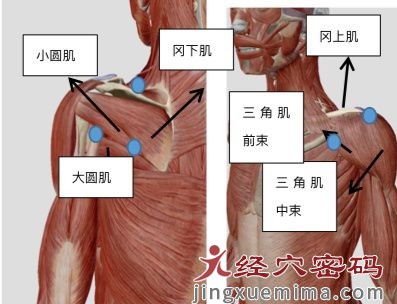 医案分享：中医针灸治疗肩关节疼痛