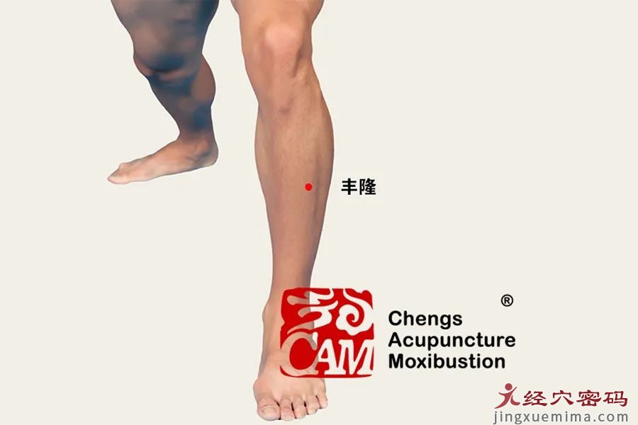 眩晕发作，如何缓解