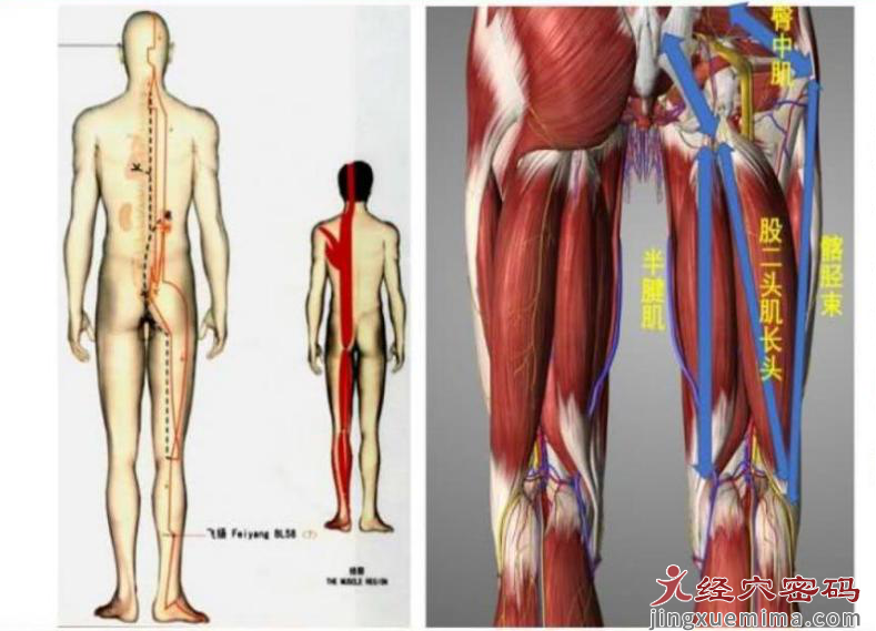 医案分析：中医针灸治疗右侧头部晕胀，颈肩背部僵硬