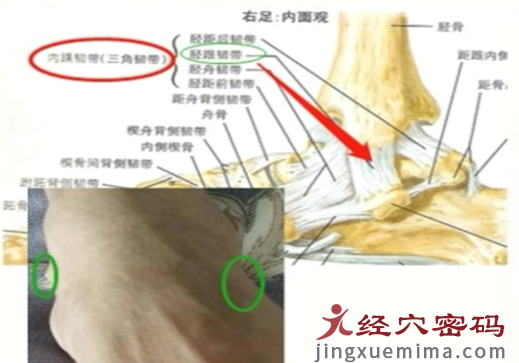 丘墟穴的主治与三才刺法