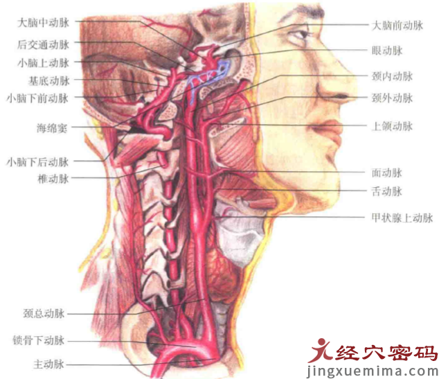 关于中风后遗症，你得先知道这些事情