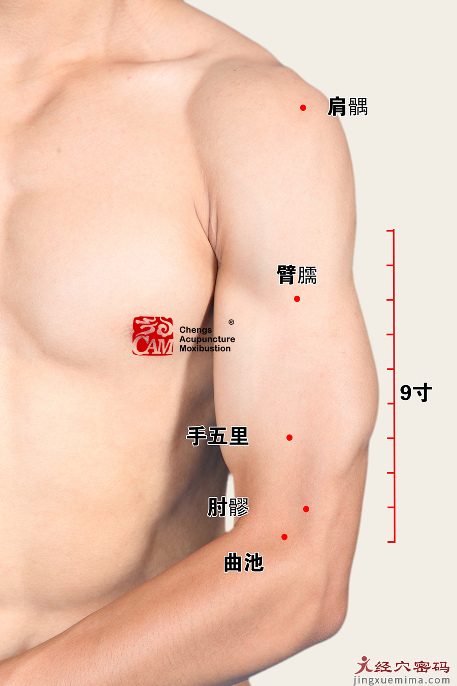 三穴合称“肩三穴”，治疗肩关节病变