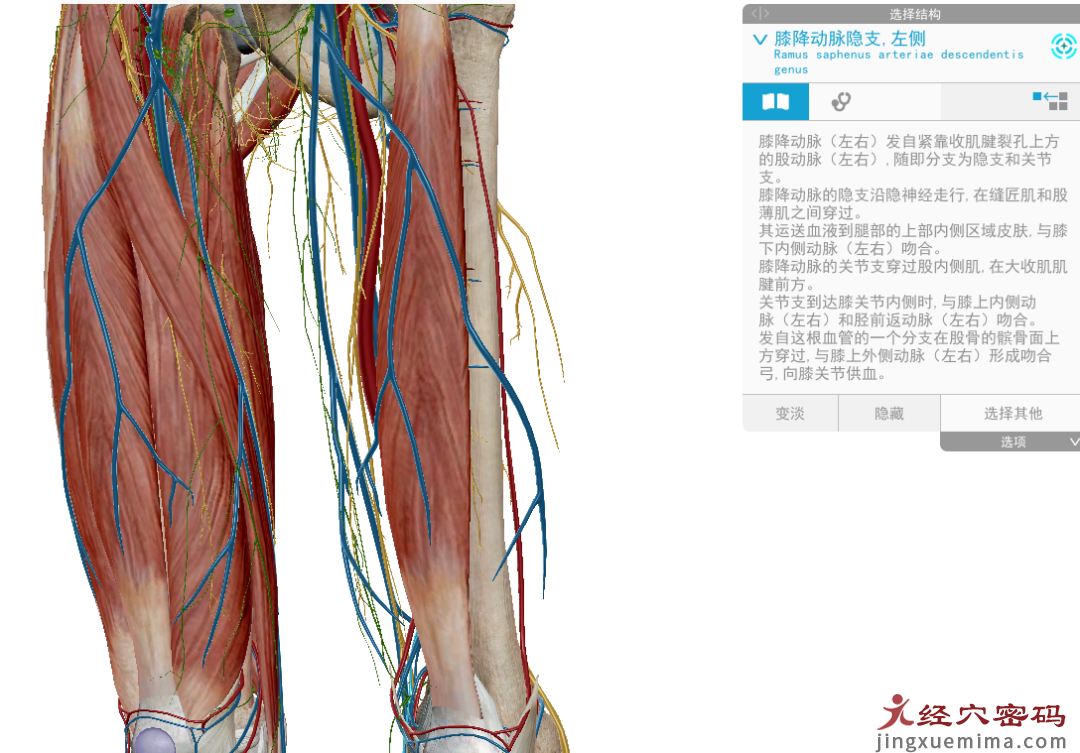 医案分析：浮络，身体求救信号的定位体征