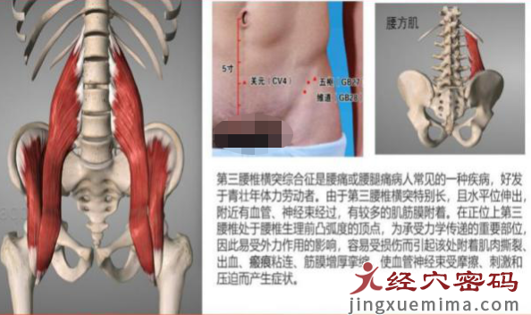 医案分析：中医针灸治疗右侧头部晕胀，颈肩背部僵硬